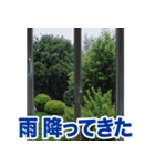 動くお天気！伝わる天候スタンプ☀️☔️⚡️（個別スタンプ：5）