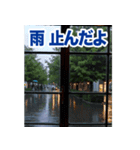 動くお天気！伝わる天候スタンプ☀️☔️⚡️（個別スタンプ：6）
