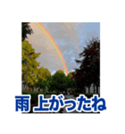 動くお天気！伝わる天候スタンプ☀️☔️⚡️（個別スタンプ：7）