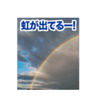 動くお天気！伝わる天候スタンプ☀️☔️⚡️（個別スタンプ：8）