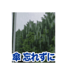 動くお天気！伝わる天候スタンプ☀️☔️⚡️（個別スタンプ：9）