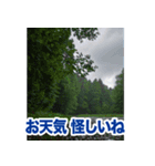 動くお天気！伝わる天候スタンプ☀️☔️⚡️（個別スタンプ：13）