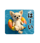 ずっと使える♡夏のチワワ（個別スタンプ：6）