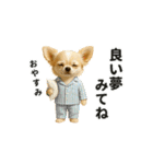 ずっと使える♡夏のチワワ（個別スタンプ：10）