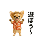 ずっと使える♡夏のチワワ（個別スタンプ：12）