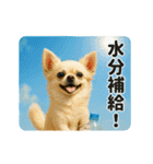 ずっと使える♡夏のチワワ（個別スタンプ：13）