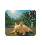 ずっと使える♡夏のチワワ（個別スタンプ：14）