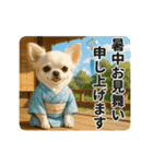 ずっと使える♡夏のチワワ（個別スタンプ：22）