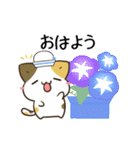 動く！毎日五月病なパンダとねこたち 夏（個別スタンプ：1）