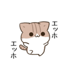 動く！毎日五月病なパンダとねこたち 夏（個別スタンプ：16）