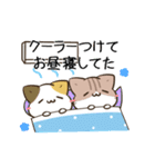 動く！毎日五月病なパンダとねこたち 夏（個別スタンプ：22）