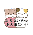 動く！毎日五月病なパンダとねこたち 夏（個別スタンプ：23）
