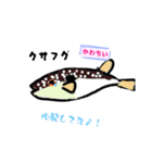 魚スタンプ第7弾リメイク（個別スタンプ：5）