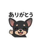 チワワさんあいさつスタンプ（個別スタンプ：2）