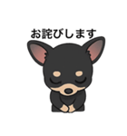 チワワさんあいさつスタンプ（個別スタンプ：3）
