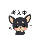 チワワさんあいさつスタンプ（個別スタンプ：5）