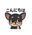 チワワさんあいさつスタンプ（個別スタンプ：6）