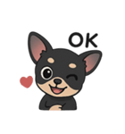 チワワさんあいさつスタンプ（個別スタンプ：7）