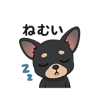 チワワさんあいさつスタンプ（個別スタンプ：8）