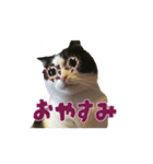 こまちゃん オニャンコラージュver.1.1（個別スタンプ：3）