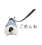 フレブルのデンベくん（個別スタンプ：4）