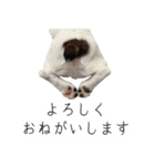フレブルのデンベくん（個別スタンプ：6）