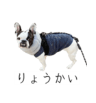 フレブルのデンベくん（個別スタンプ：9）