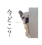 フレブルのデンベくん（個別スタンプ：14）