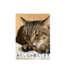 ミルさん スタンプ（個別スタンプ：7）