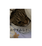 ミルさん スタンプ（個別スタンプ：11）
