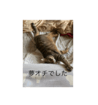 ミルさん スタンプ（個別スタンプ：14）
