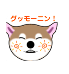 いえちぃスタンプ 可愛い芝犬 家族連絡用（個別スタンプ：1）