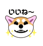 いえちぃスタンプ 可愛い芝犬 家族連絡用（個別スタンプ：3）