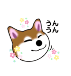 いえちぃスタンプ 可愛い芝犬 家族連絡用（個別スタンプ：5）