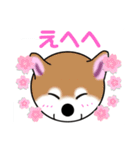 いえちぃスタンプ 可愛い芝犬 家族連絡用（個別スタンプ：6）