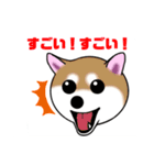 いえちぃスタンプ 可愛い芝犬 家族連絡用（個別スタンプ：7）