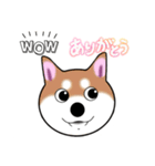 いえちぃスタンプ 可愛い芝犬 家族連絡用（個別スタンプ：8）