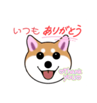 いえちぃスタンプ 可愛い芝犬 家族連絡用（個別スタンプ：9）