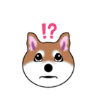 いえちぃスタンプ 可愛い芝犬 家族連絡用（個別スタンプ：11）
