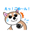 いえちぃスタンプ 可愛い芝犬 家族連絡用（個別スタンプ：13）