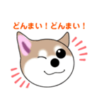 いえちぃスタンプ 可愛い芝犬 家族連絡用（個別スタンプ：14）