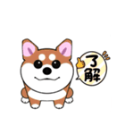 いえちぃスタンプ 可愛い芝犬 家族連絡用（個別スタンプ：17）