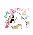 いえちぃスタンプ 可愛い芝犬 家族連絡用（個別スタンプ：19）