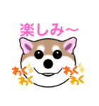 いえちぃスタンプ 可愛い芝犬 家族連絡用（個別スタンプ：20）