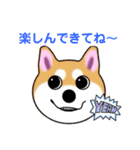 いえちぃスタンプ 可愛い芝犬 家族連絡用（個別スタンプ：21）