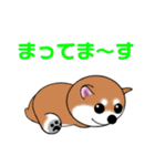 いえちぃスタンプ 可愛い芝犬 家族連絡用（個別スタンプ：22）
