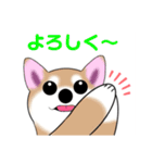 いえちぃスタンプ 可愛い芝犬 家族連絡用（個別スタンプ：23）