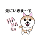 いえちぃスタンプ 可愛い芝犬 家族連絡用（個別スタンプ：29）