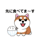 いえちぃスタンプ 可愛い芝犬 家族連絡用（個別スタンプ：30）