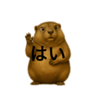 おはなしマーモット（個別スタンプ：1）